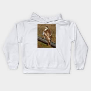 Red-tailed Hawk on fence Kids Hoodie
